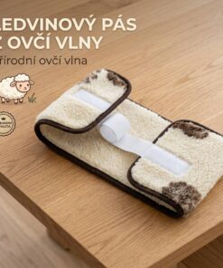ledvino1